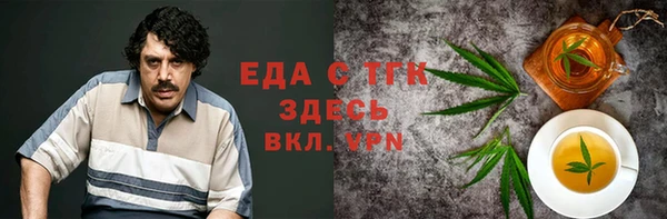 индика Алексин