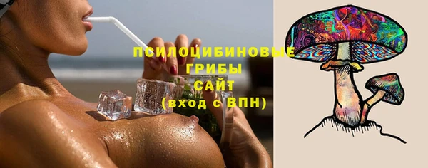 индика Алексин