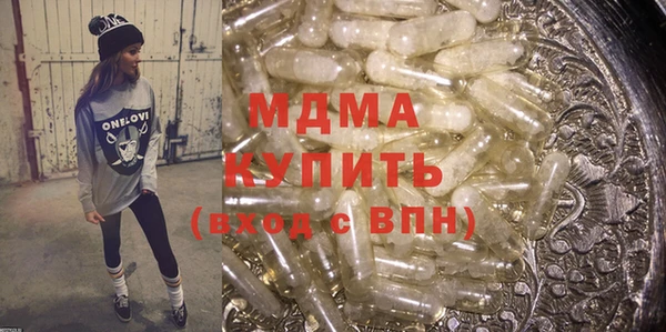 индика Алексин