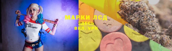 индика Алексин