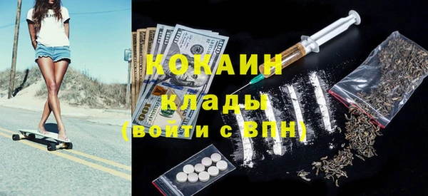 индика Алексин