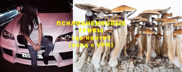 эйфоретик Армянск