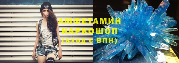 индика Алексин