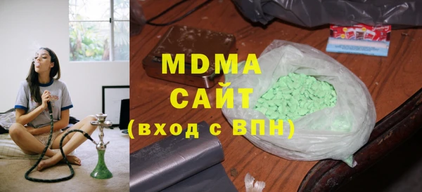 индика Алексин