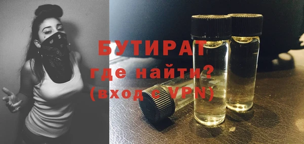 индика Алексин